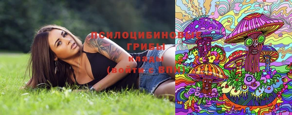дмт Алексин