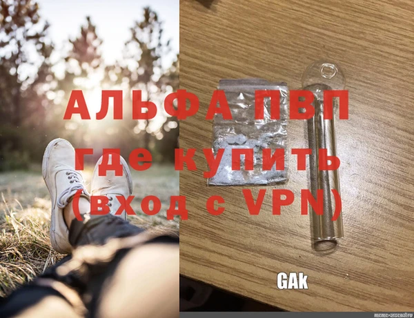 дмт Алексин