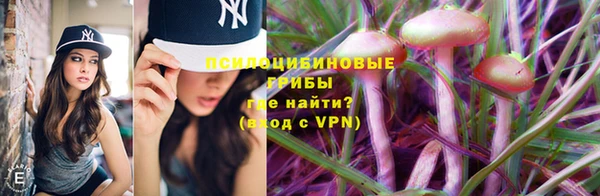 дмт Алексин