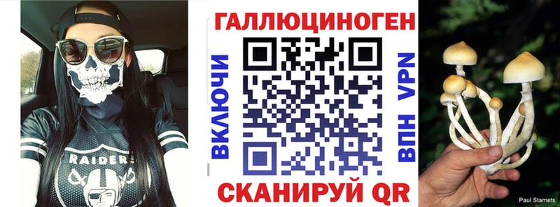 Галлюциногенные грибы Cubensis  Сясьстрой 