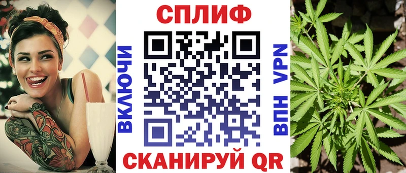 Каннабис марихуана Сясьстрой